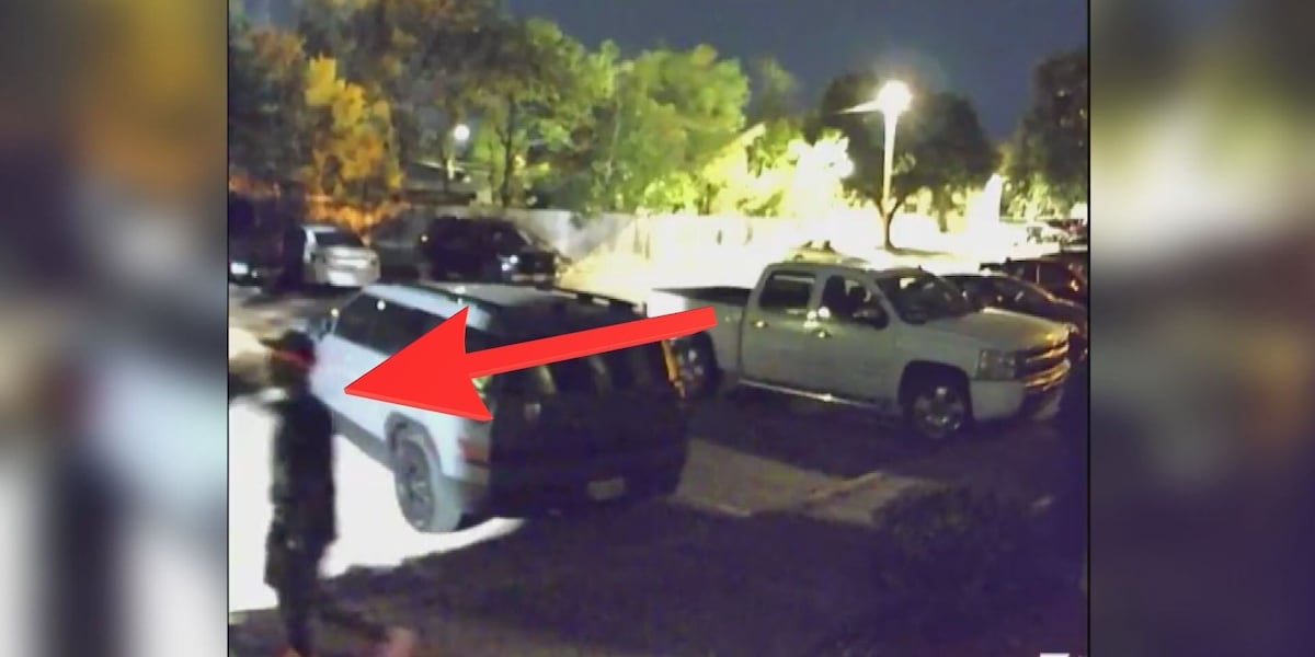 Bryan police asking residents to review surveillance cameras to help identify suspect in attacks