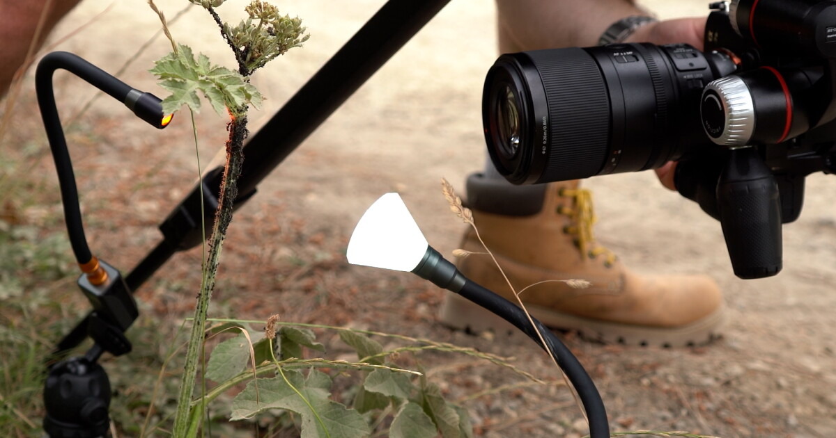 Tiny, modular pod attacks macro photography’s lighting nightmare