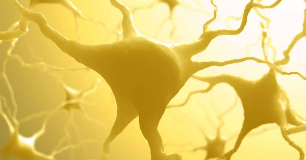 Alzheimer’s hope: Nanoparticles regenerate cells to restore memory