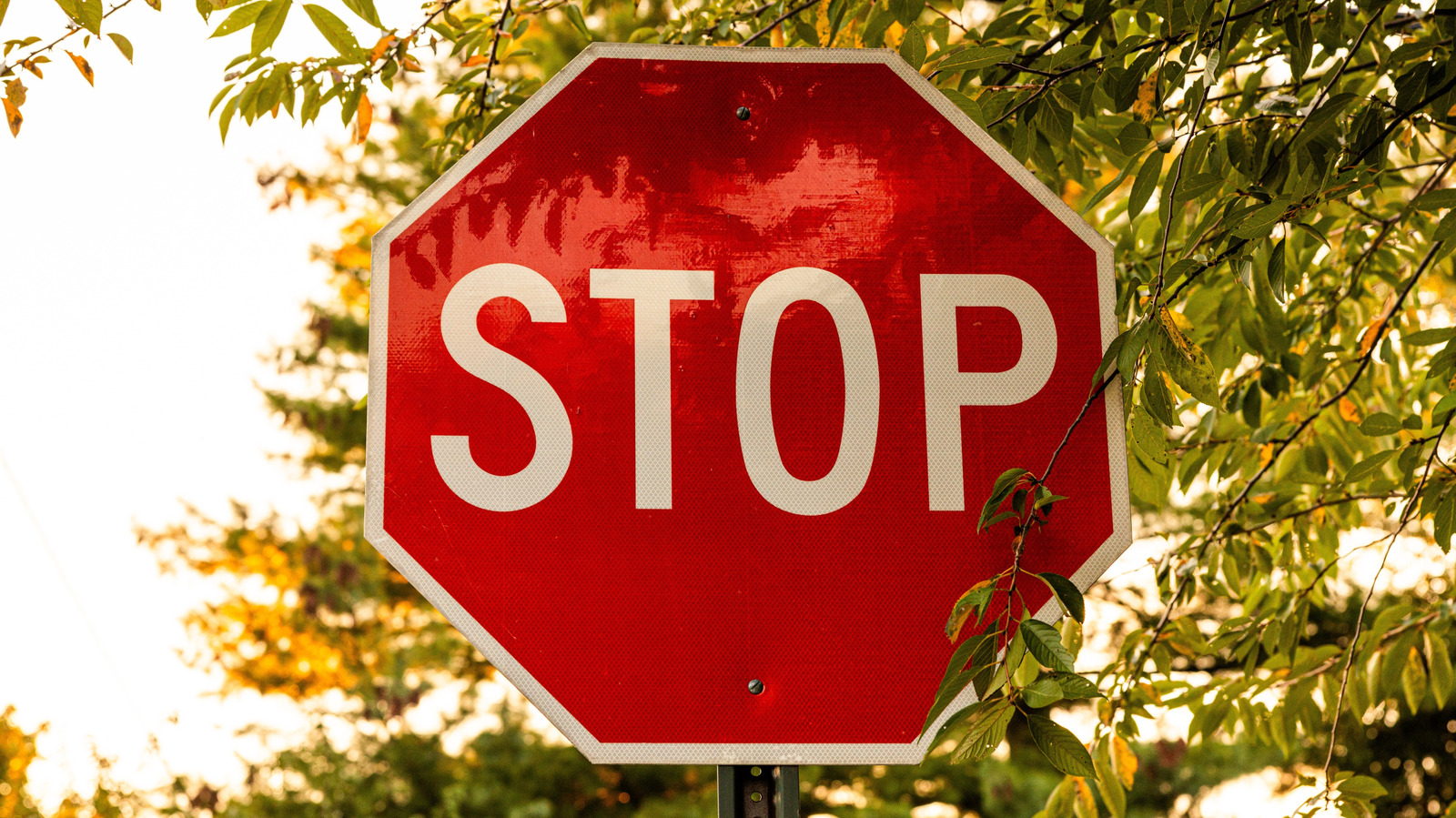 Is There A Standard Size For All Road Signs? – SlashGear