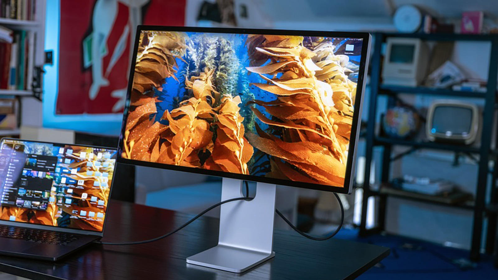 Can a MacBook run multiple external monitors? It depends – Engadget