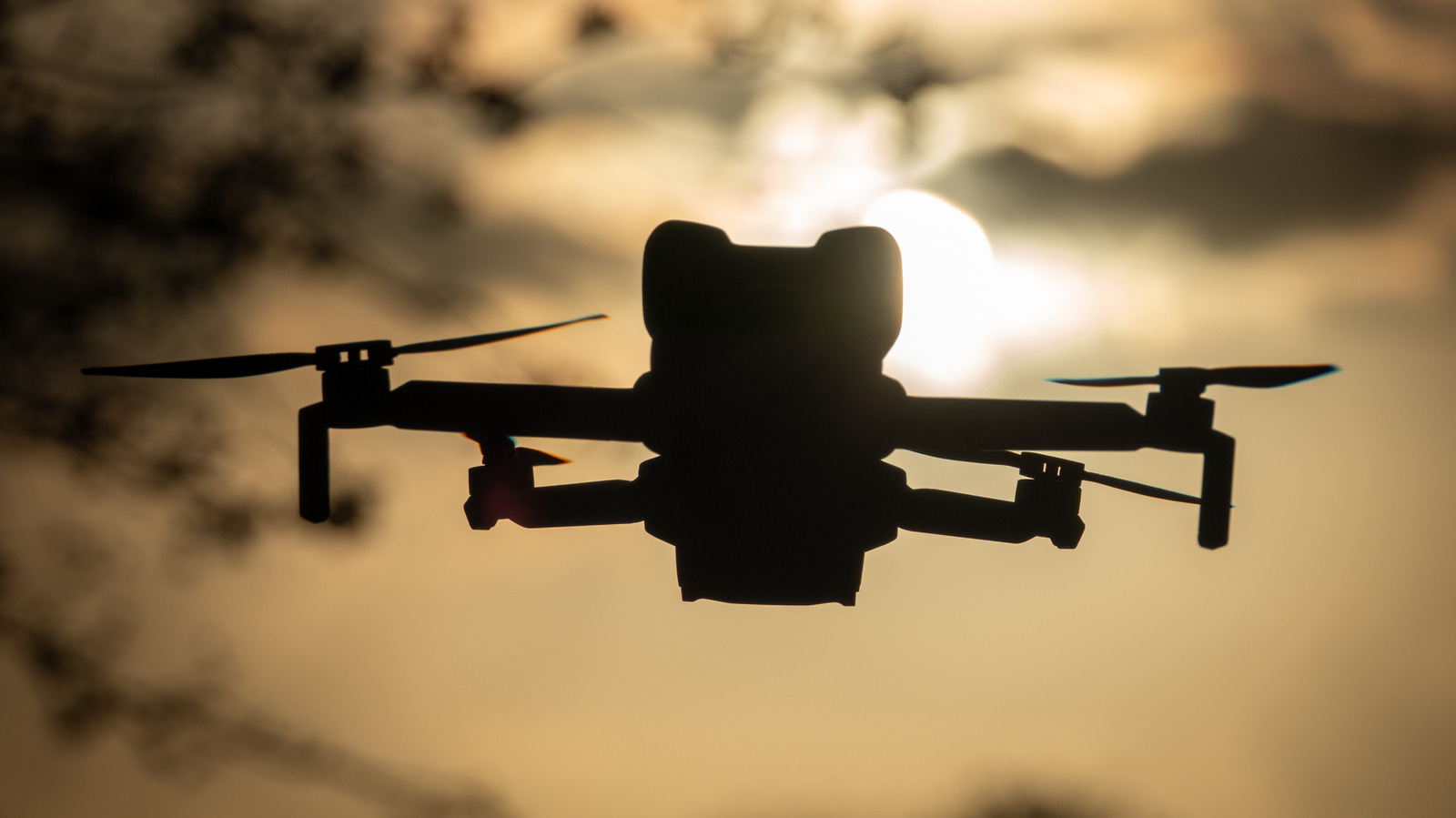DJI Mini 5 Pro Vs DJI Mini 3: How Do These Drones Compare? – SlashGear