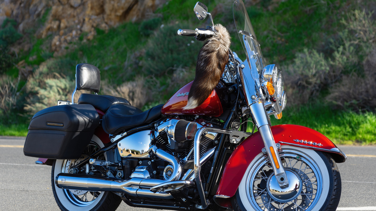 4 Downsides Of Cruiser Motorcycles You Should Consider Before Buying – SlashGear