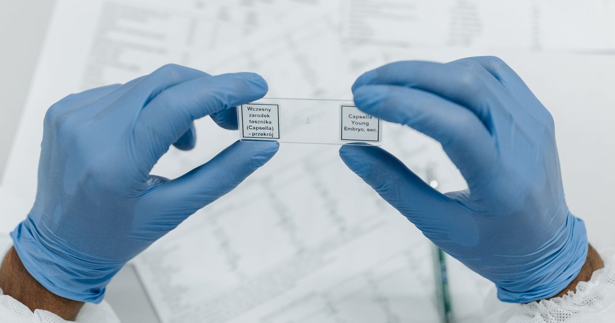 Cornell researchers found a way to spot future hits before they become popular