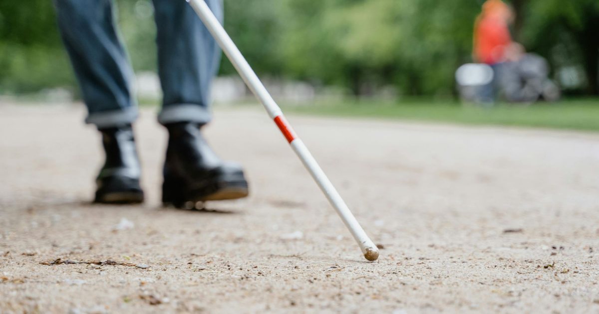 Harvard developers have made an AI app to help visually impaired users navigate