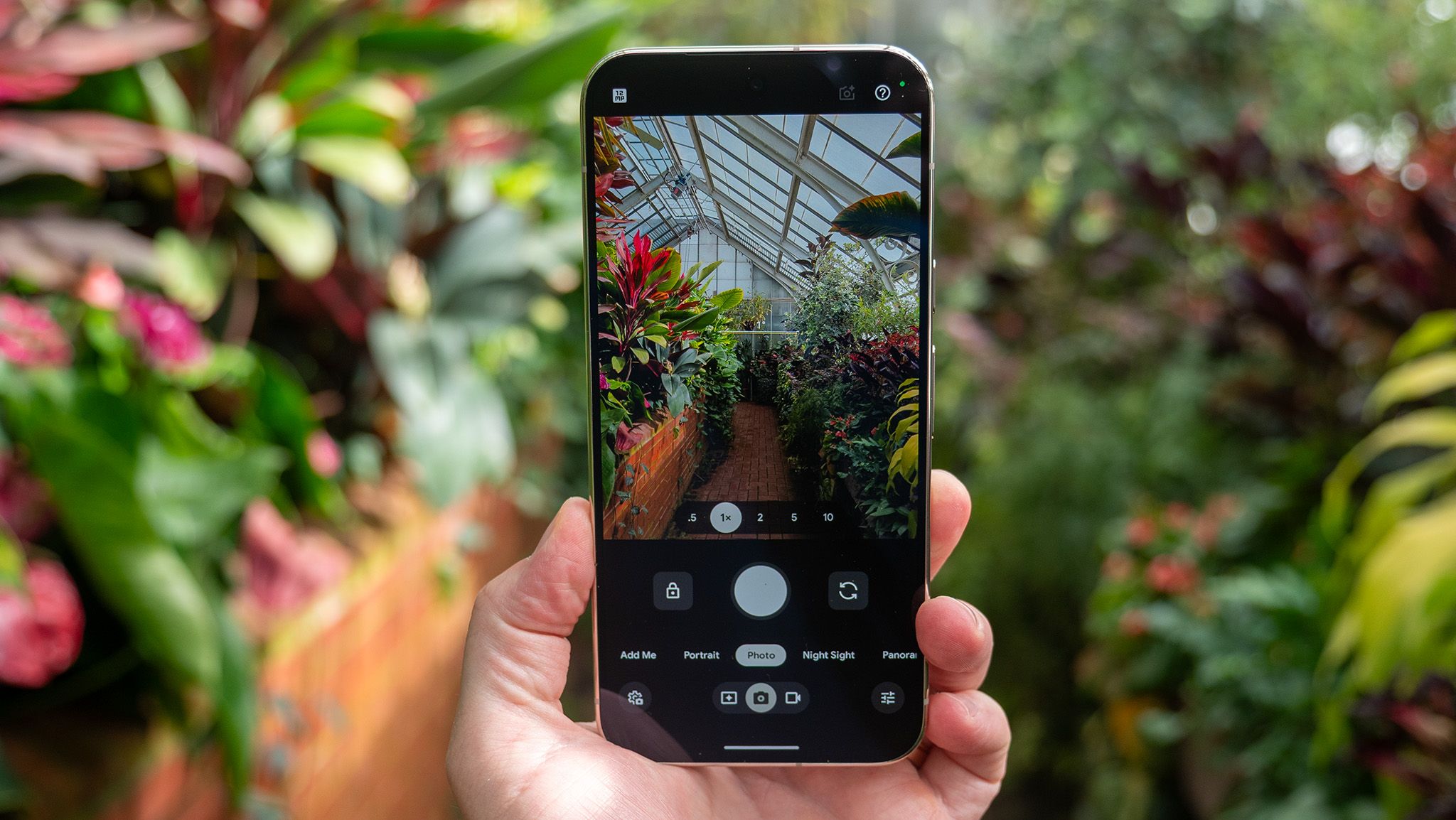 Google Pixel 11 Pro camera review: Bringing back the magic