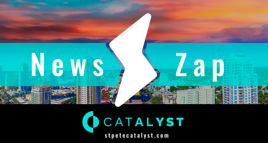 Floyd calls for review of St. Pete’s Flock camera contract