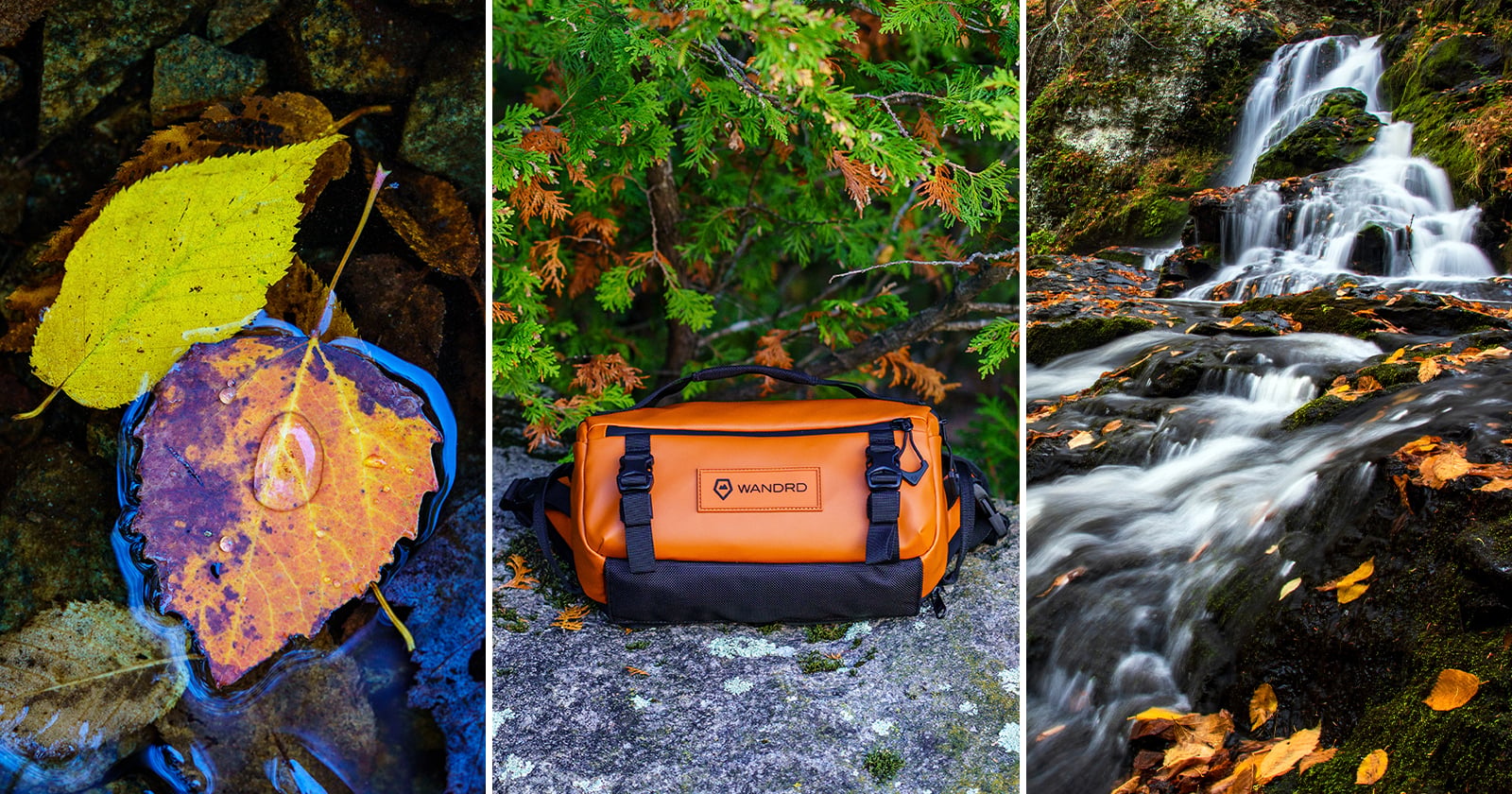 What’s in My Camera Bag for Photographing Fall Color