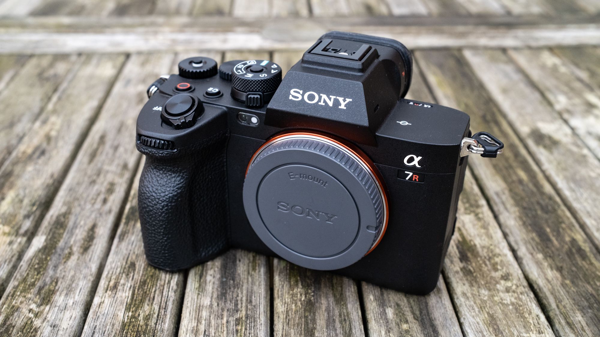 Our favorite Sony, Canon, and Nikon cameras are on sale for Labor Day — here are 16 deals recommended by our experts