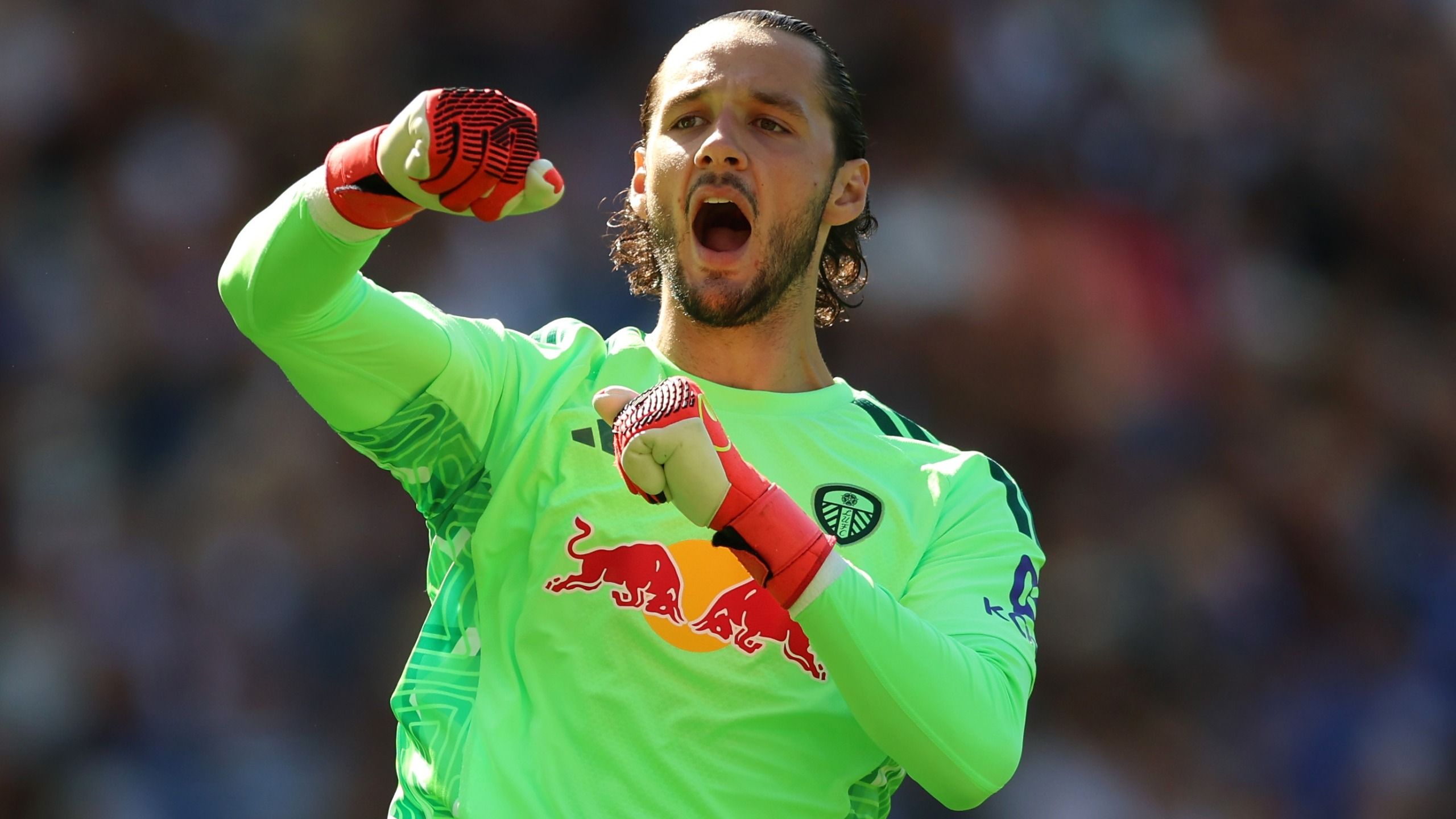 Watch Leeds vs Newcastle: FREE live streams, TV channels & kick-off time