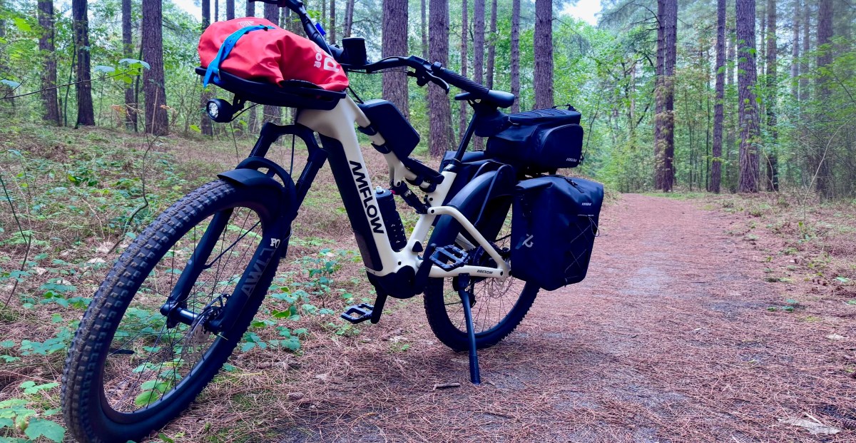 Can ‘eSUV’ e-bikes really go from trail to town?