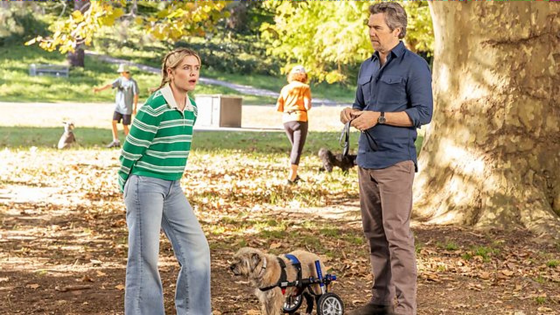 How to watch Colin From Accounts season 3 online for FREE – stream final run of acclaimed sitcom from anywhere