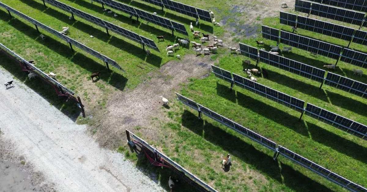 Do wind and solar farms tank home values? A 20-year study has an answer