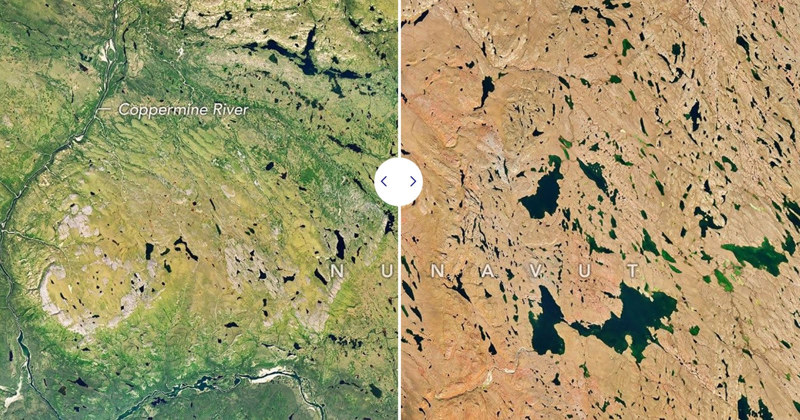 The First Fall Color of 2026 As Seen From Space