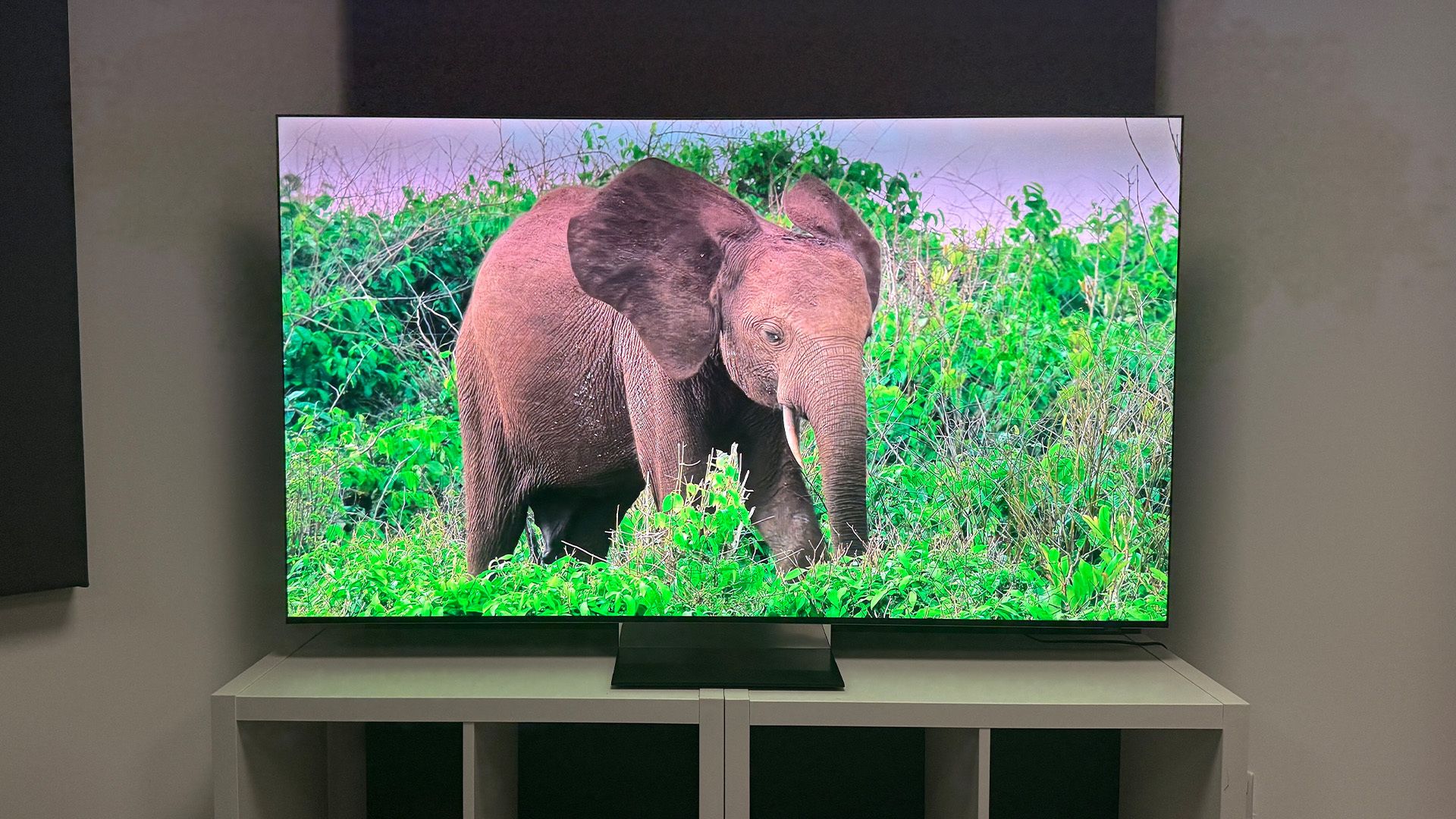 Samsung R95H (MRE65R95H) review