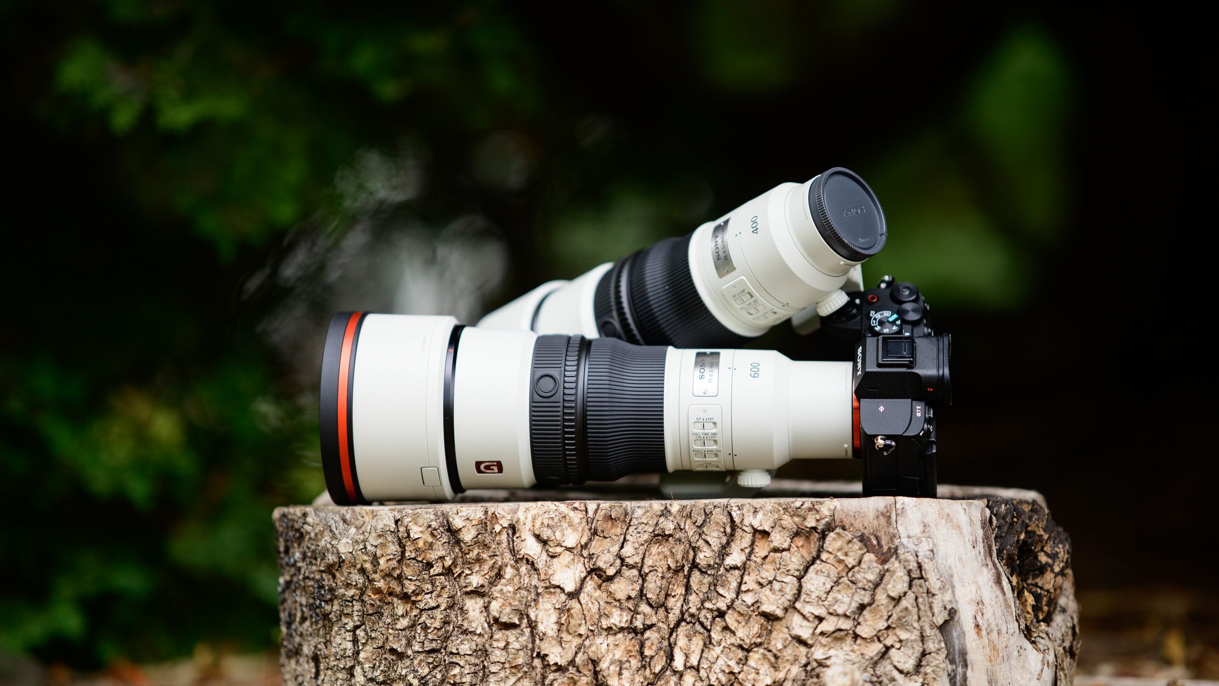 Sony’s 400mm F4.5 and 600mm F6.3 are two of the world’s lightest super-telephoto primes, and I hit nature reserves to photograph birds, deer and more with them both — here are my favorite wildlife photos