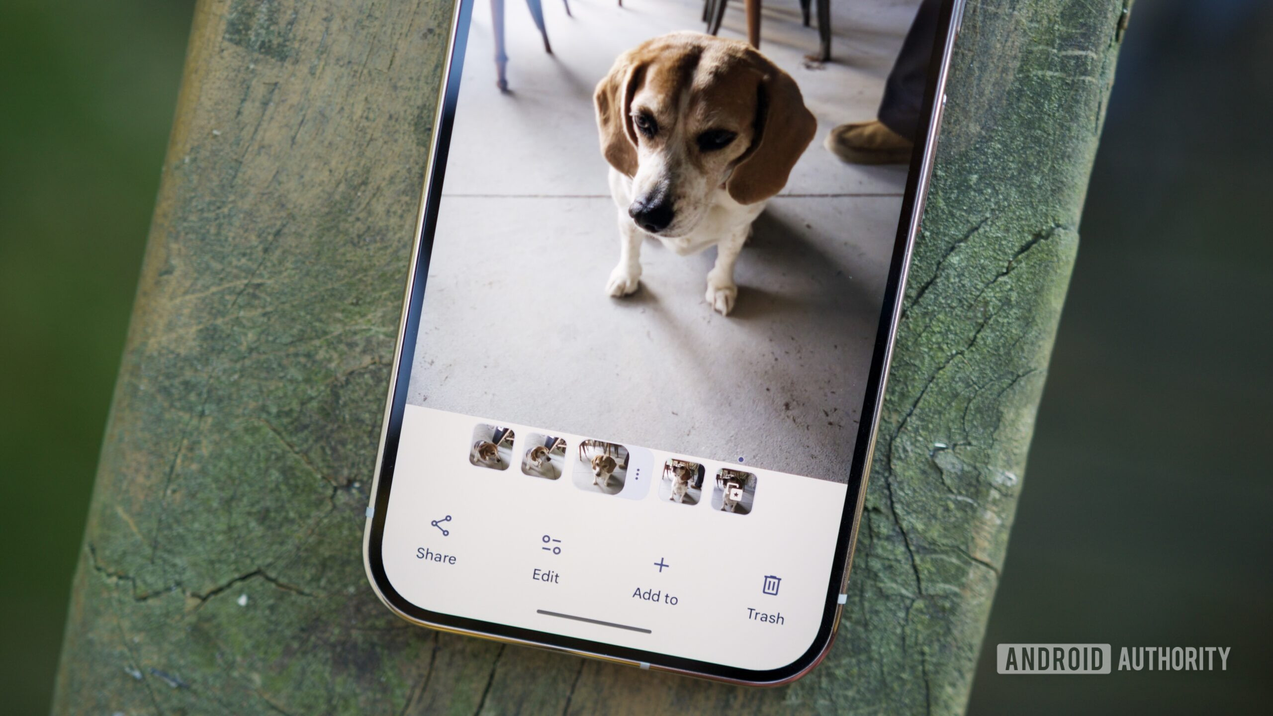 Google confirms it’s working on a fix for that Photos bug preventing sharing, deleting, and editing