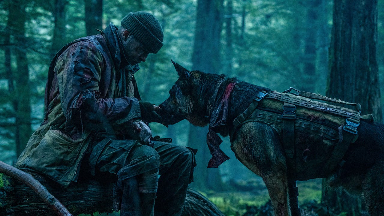 Heart of the Beast Review: Brad Pitt and His Combat Dog Go Ruffin’ It in This Deeply Moving Wilderness Survival Drama
