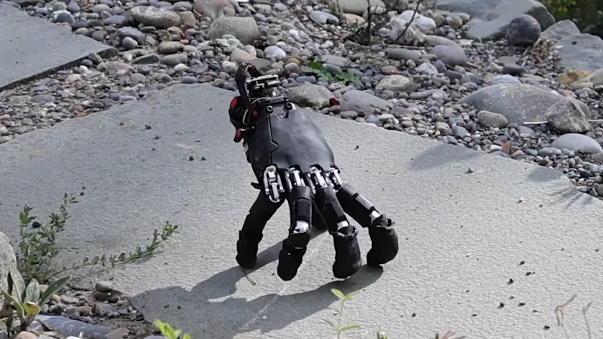 Watch this disembodied AI-trained robot hand ‘walk’ like something straight from a horror movie