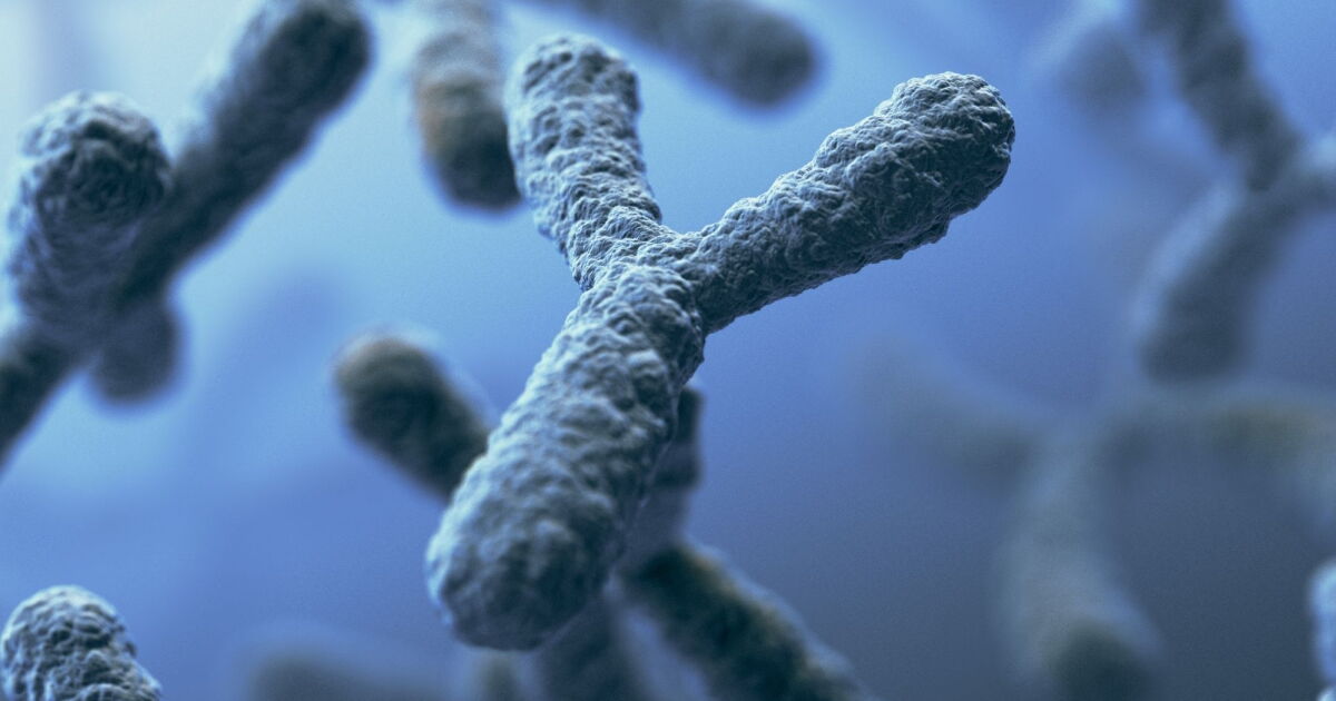 Y chromosome loss could be the first sign of cancer