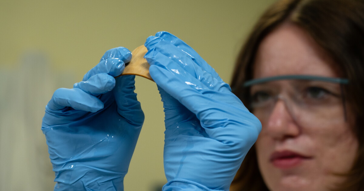 Bio-based liquid bends wood like it’s thin, pliable metal