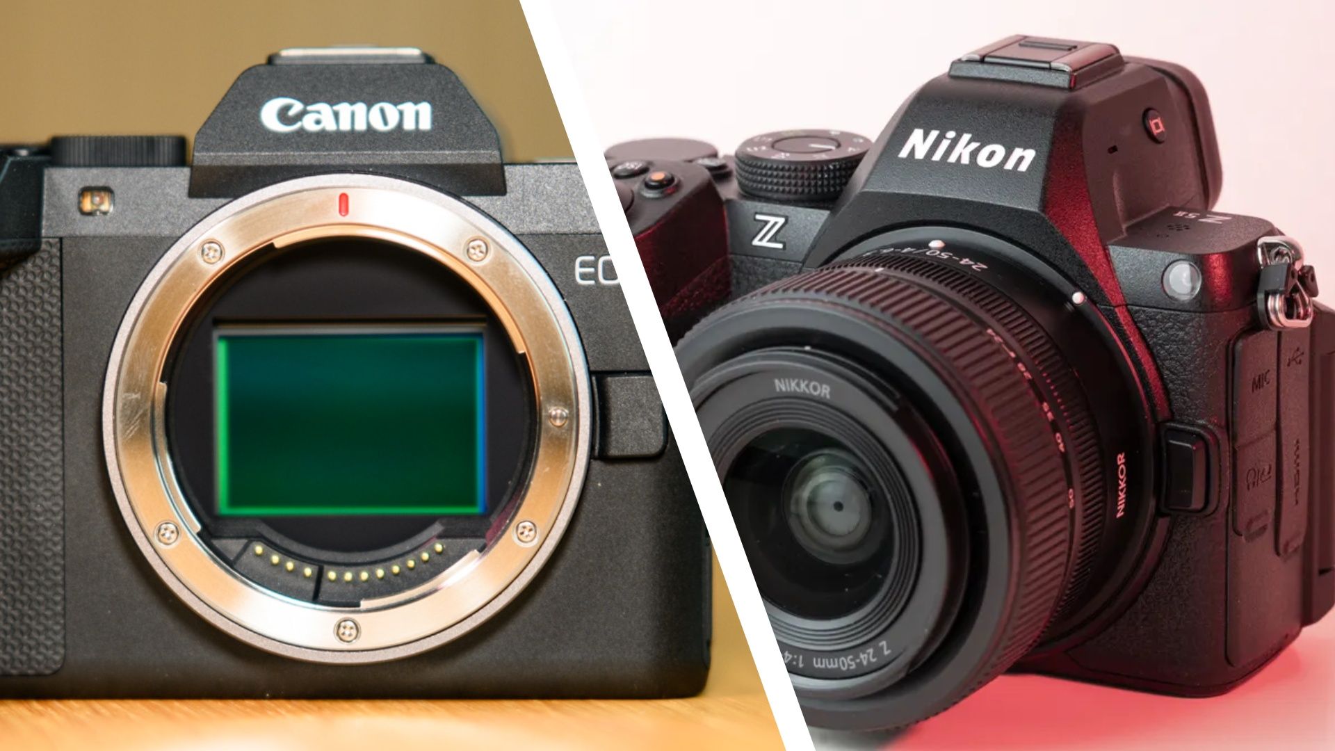 Canon’s new EOS R8 Mark II hasn’t reached the entry-level full-frame bar set by Nikon over a year ago — here’s how it compares to the Z5 II