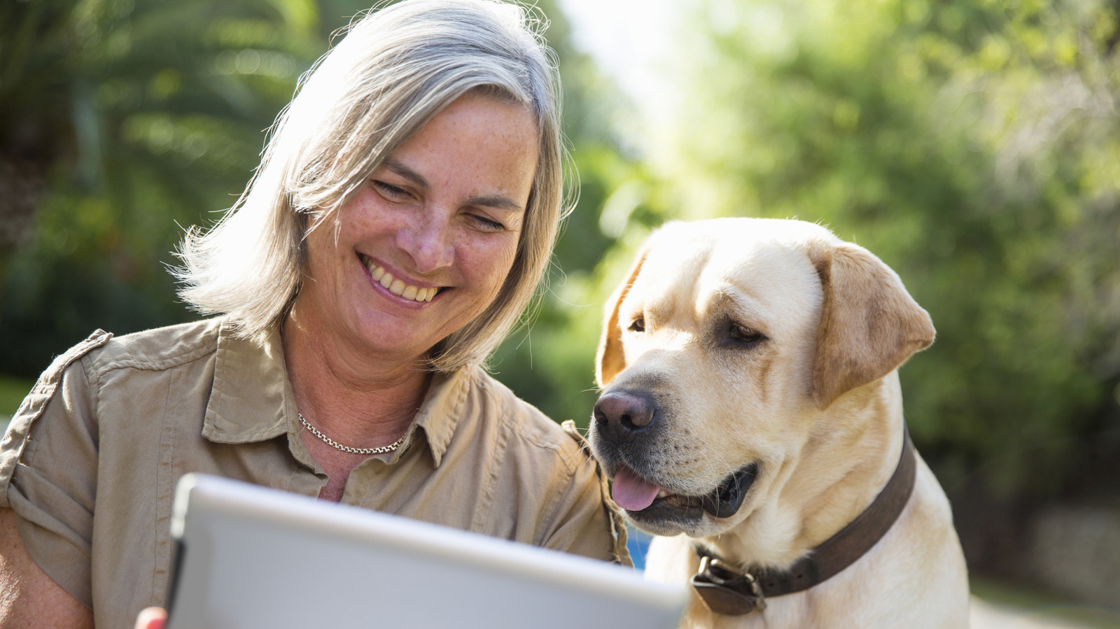 5 Tips To Make Your iPad Pet-Friendly – SlashGear