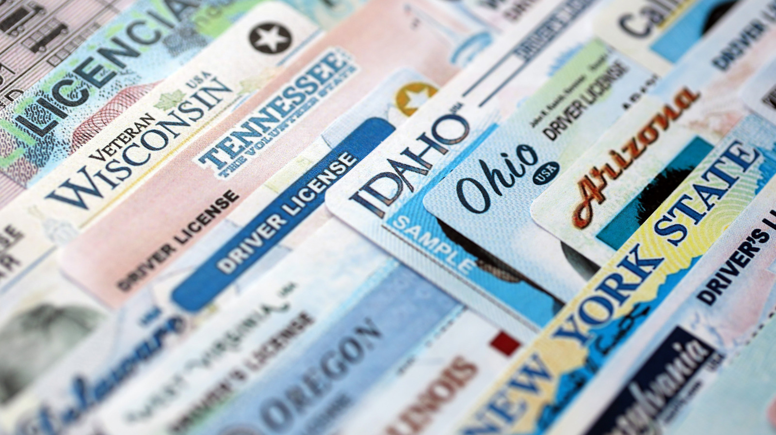 Revoked Vs Suspended Licenses: What Are The Differences? – SlashGear