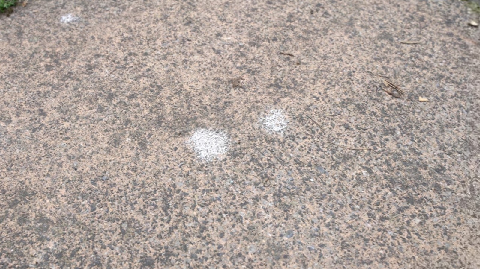 What Causes Those Black Spots On Concrete Driveways, And How To Get Rid Of Them – SlashGear