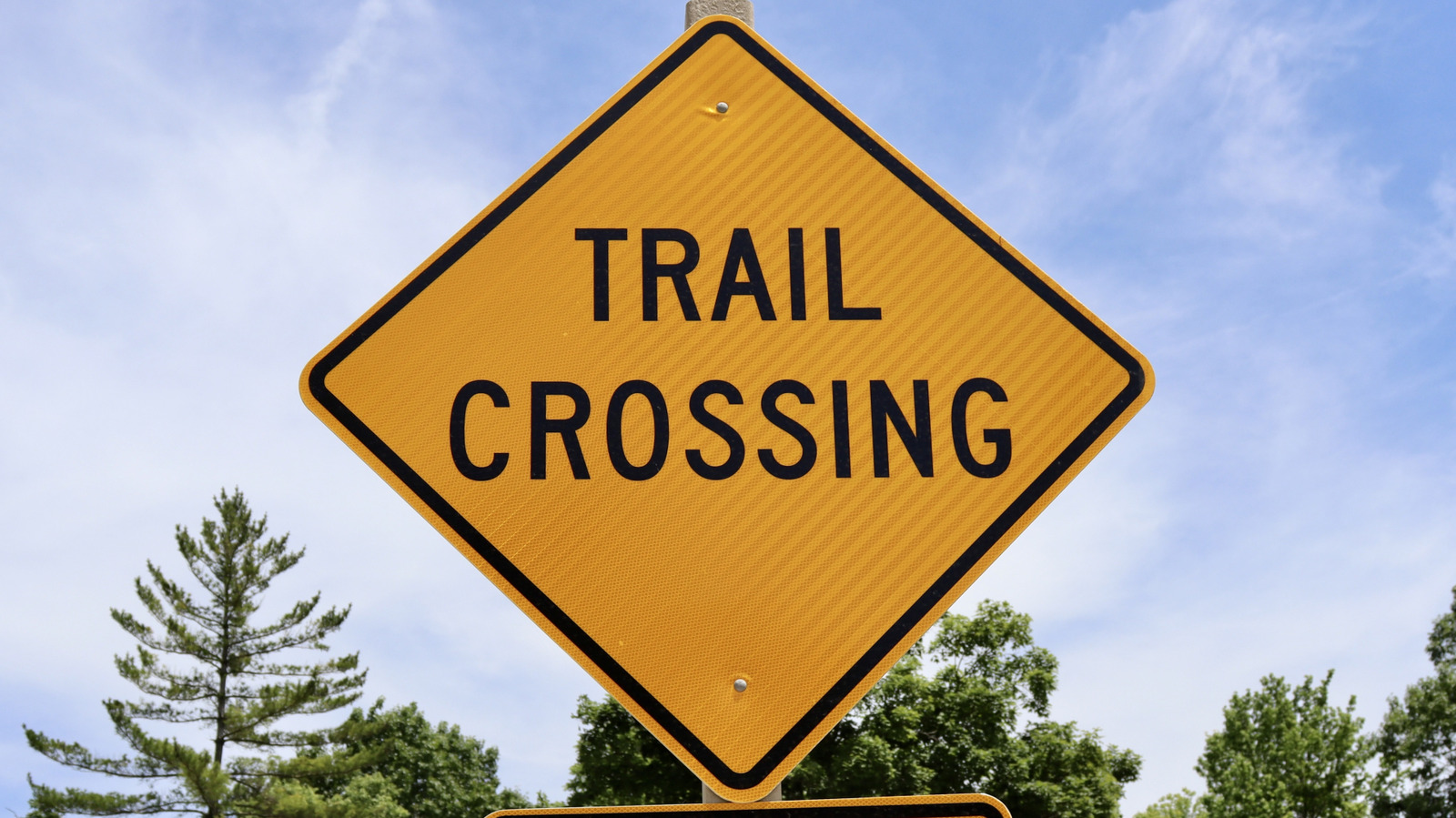 What Does A Diamond-Shaped Road Sign Mean? – SlashGear