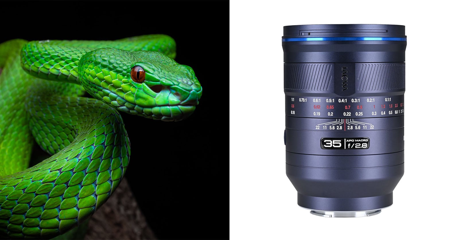 Laowa Launches World’s First Full-Frame AF 35mm 1:1 Macro Lens