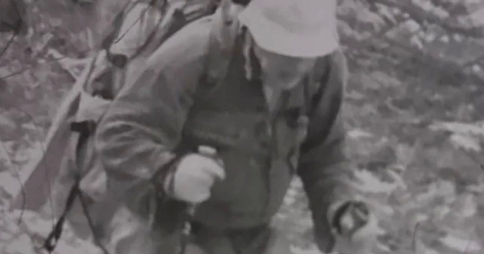 Missing Hiker Found on Remote Island After Being Spotted on Trail Camera
