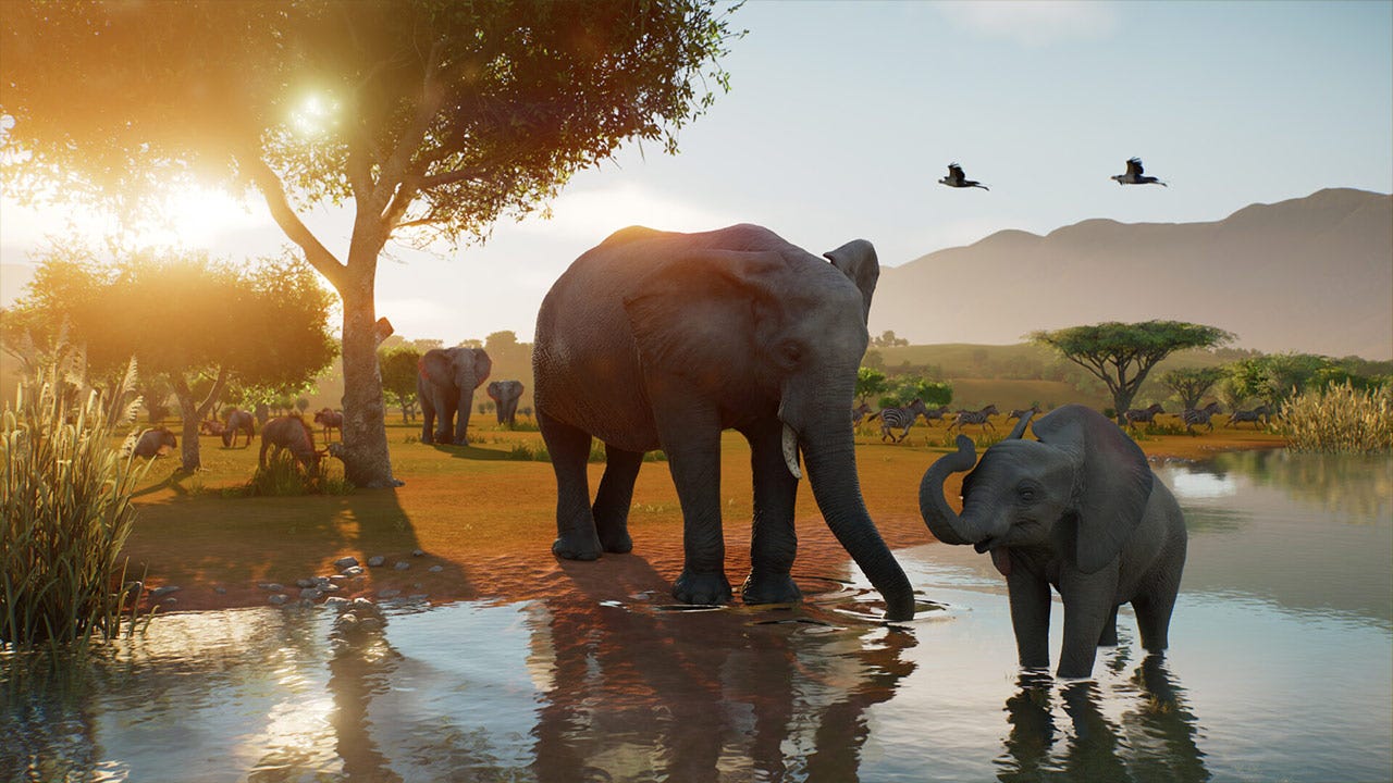 Planet Zoo 2 Has Incredibly Lifelike Animals And Wild Game Reserves to Put Them In | IGN Preview