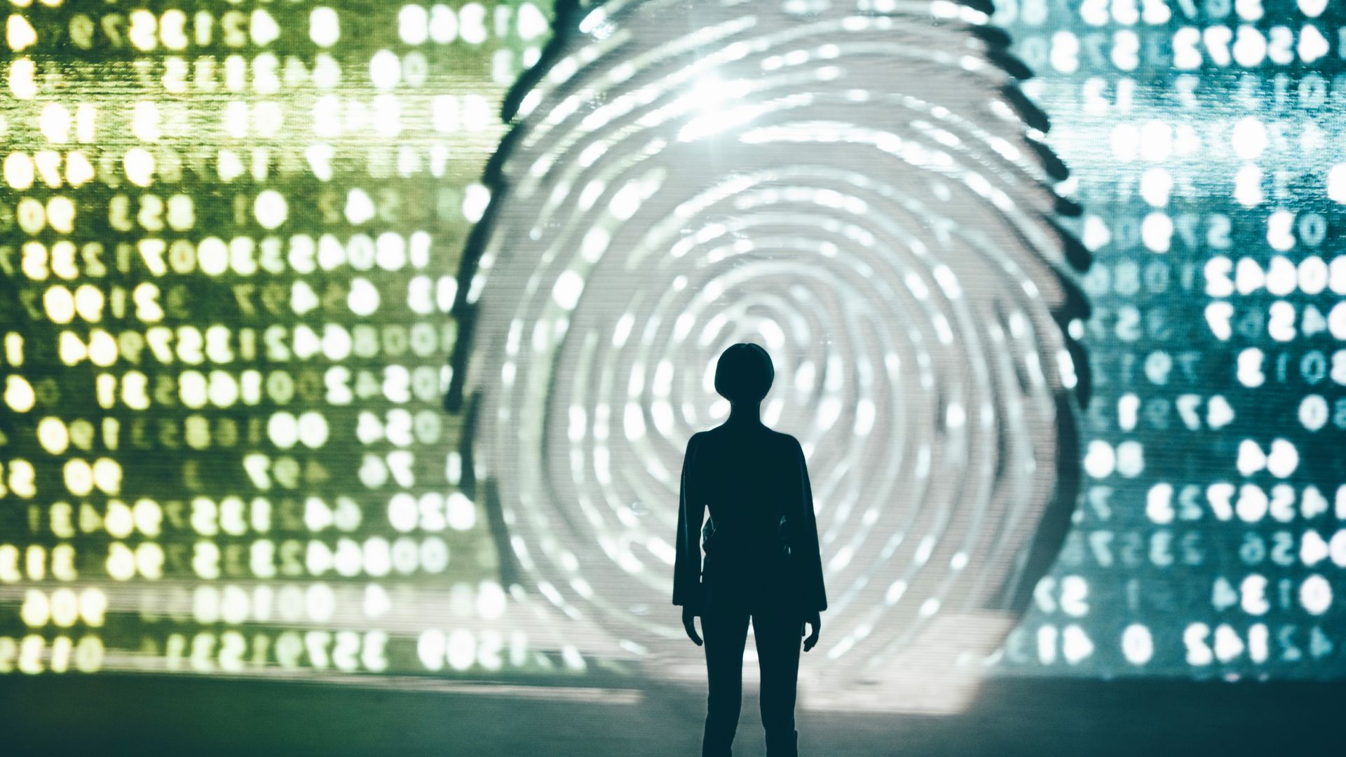 TechRadar’s new privacy newsletter is out — read Leave No Trace issue #2 now
