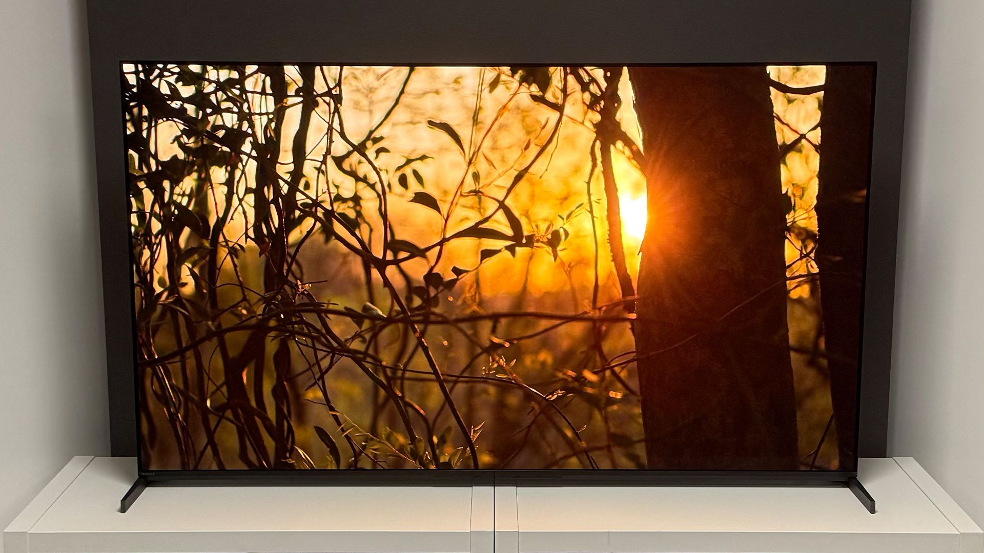 There’s been a big problem with some Sony TVs – but a fix might finally be here