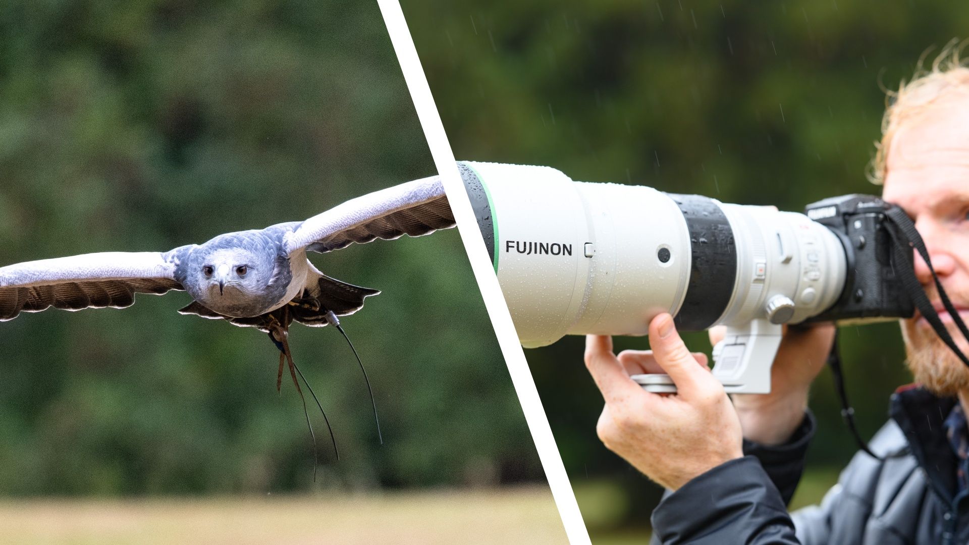 Think Fujifilm can’t do wildlife photography? My experience with its new super telephoto 400mm birding lens says otherwise