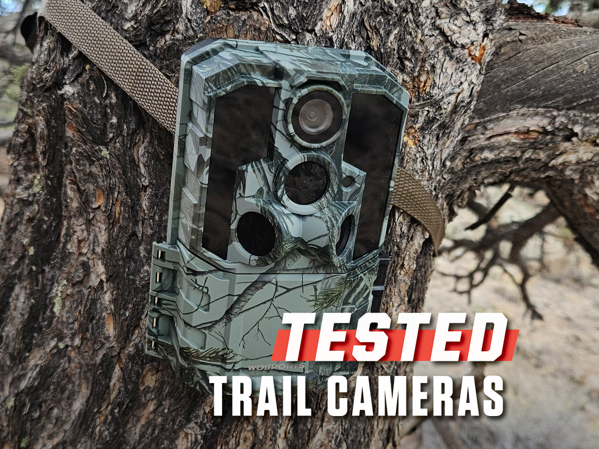 The Best Trail Cams for Keeping an Eye on Wildlife Without Emptying Your Wallet
