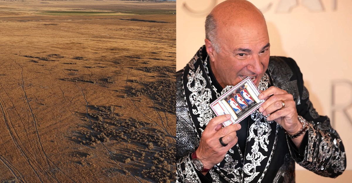 The People of Utah vs. Kevin O’Leary