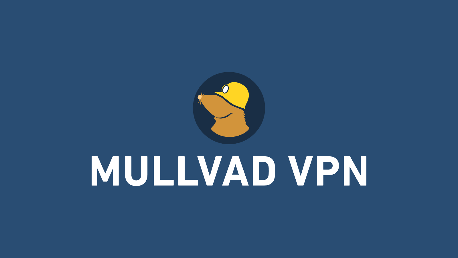 Mullvad VPN Review 2026: Still Tops for Privacy, Still Budget-Friendly – CNET