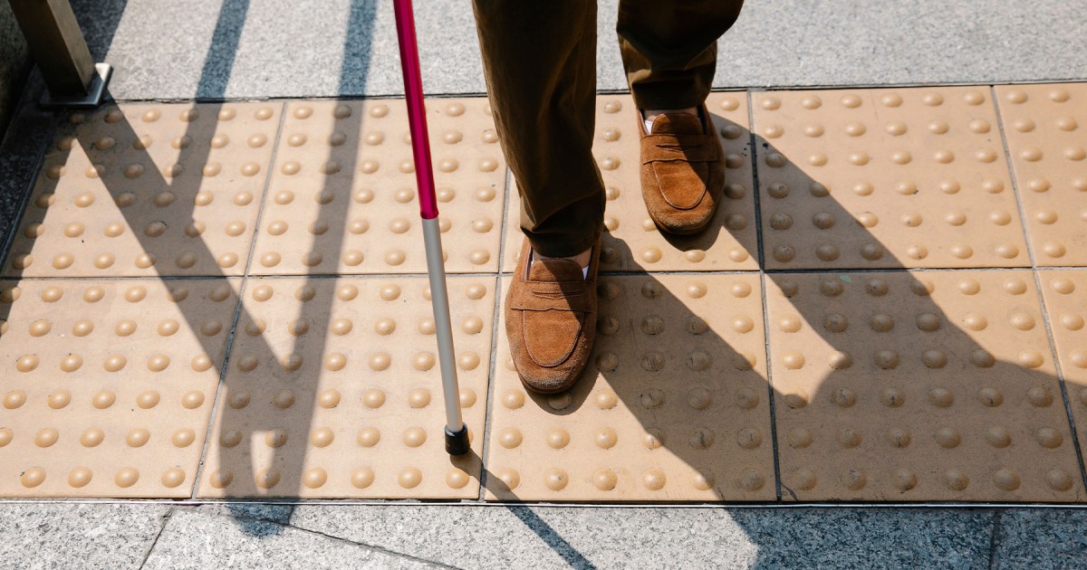 AI can describe a picture, but it still struggles to understand blind users