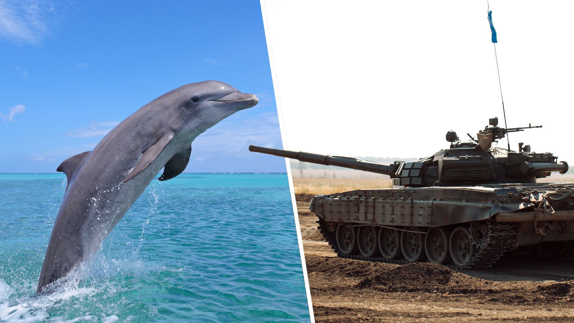 Semifinals: The brutal war to determine the best RTS unit of all time needs your votes