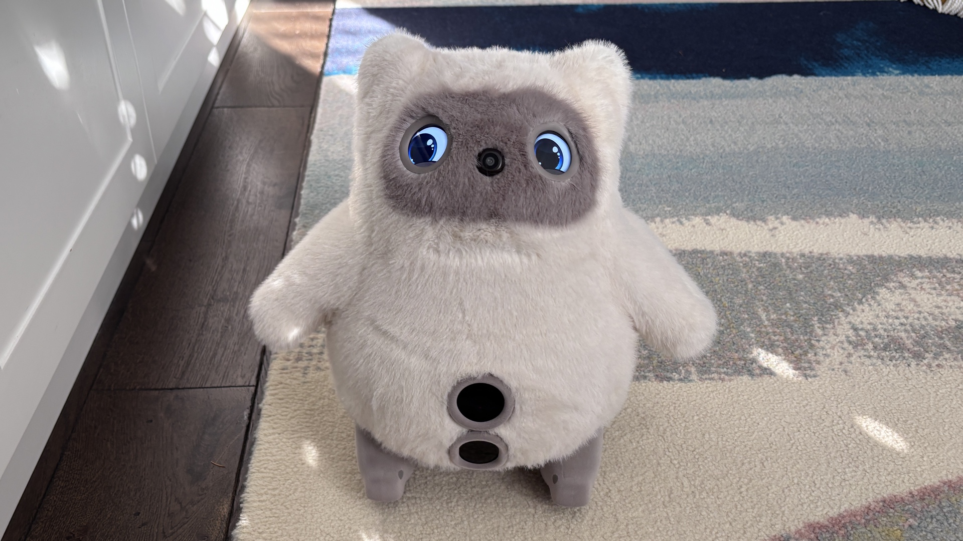 SwitchBot KATA Friends Review