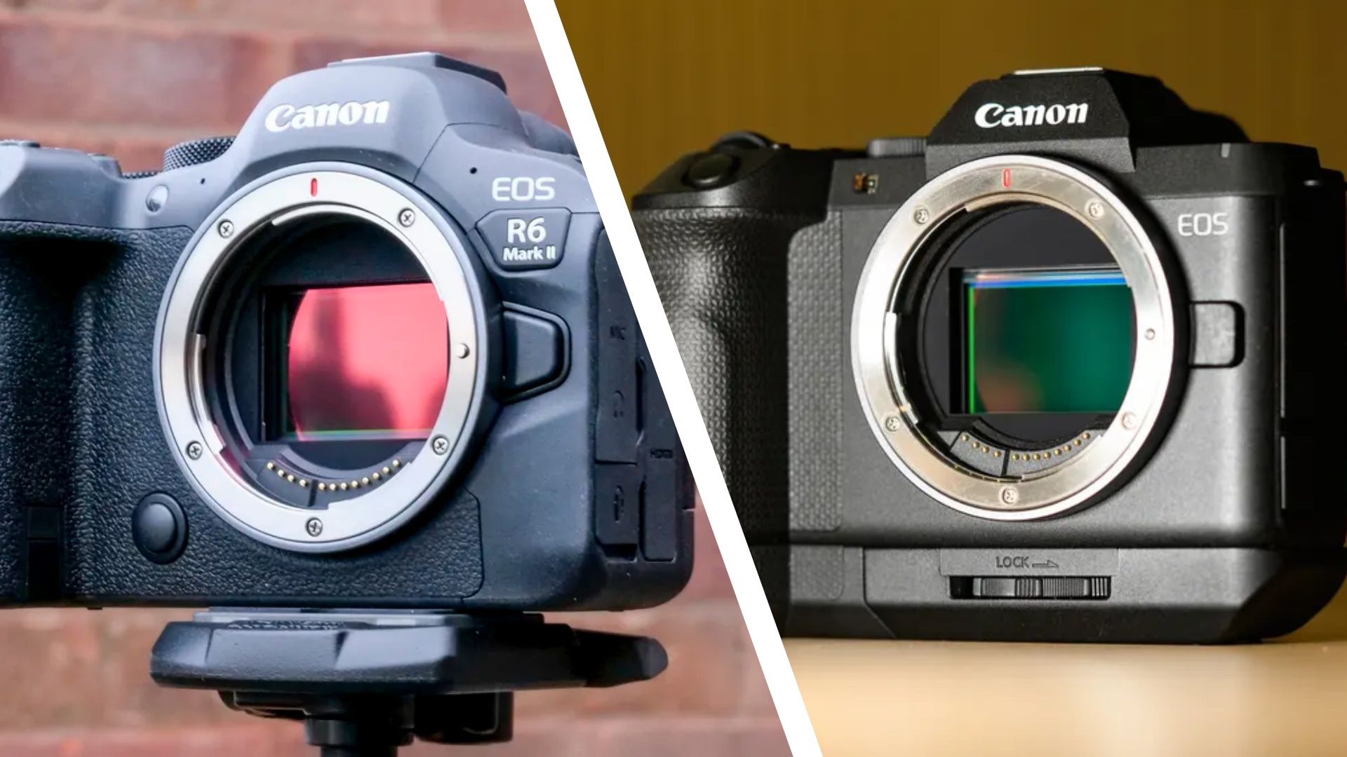 Don’t buy the new Canon EOS R8 II — here are 5 reasons I’d buy the EOS R6 II for a record-low price instead