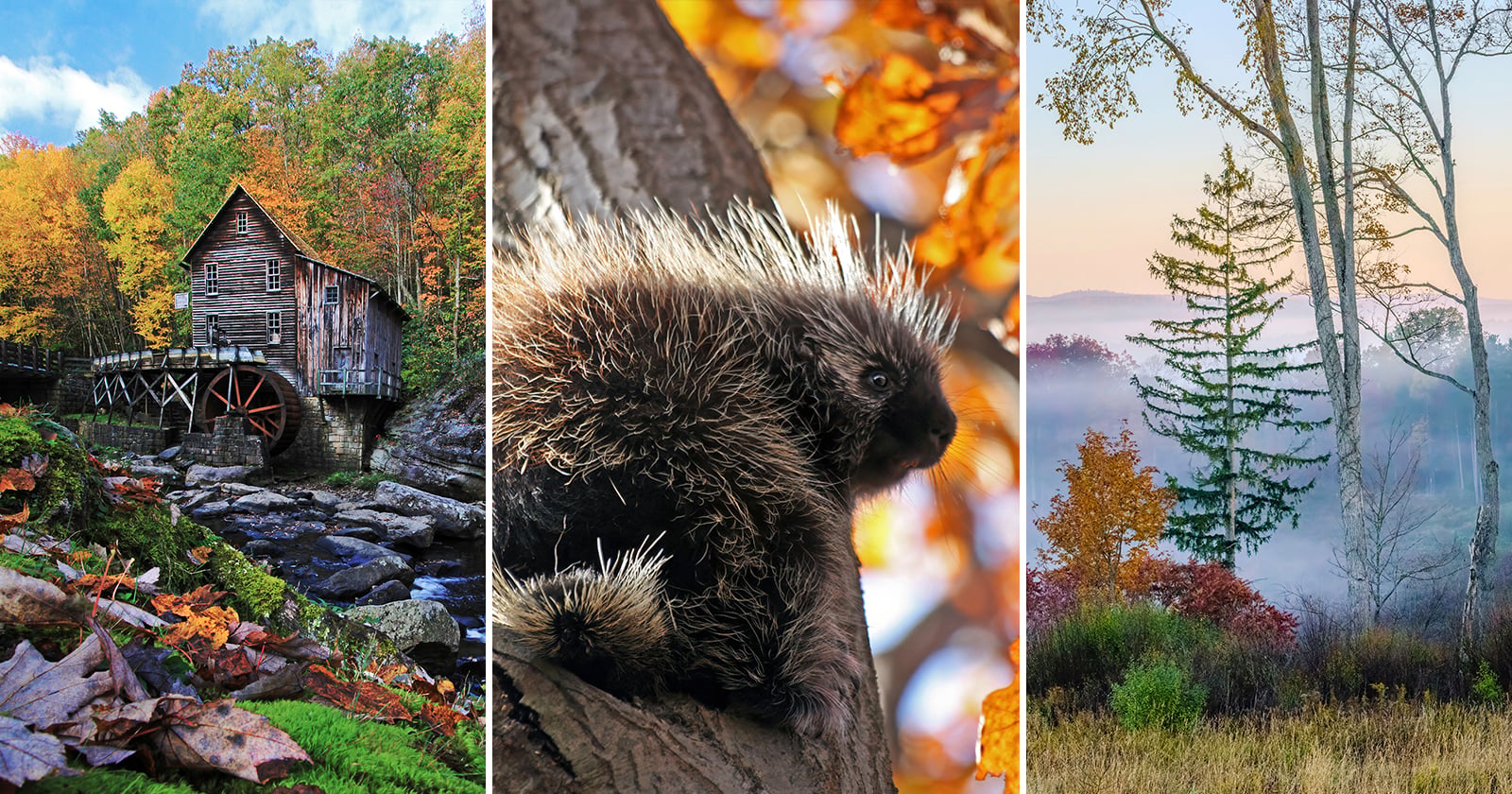 What I’ve Learned After 20 Years of Photographing Fall Color
