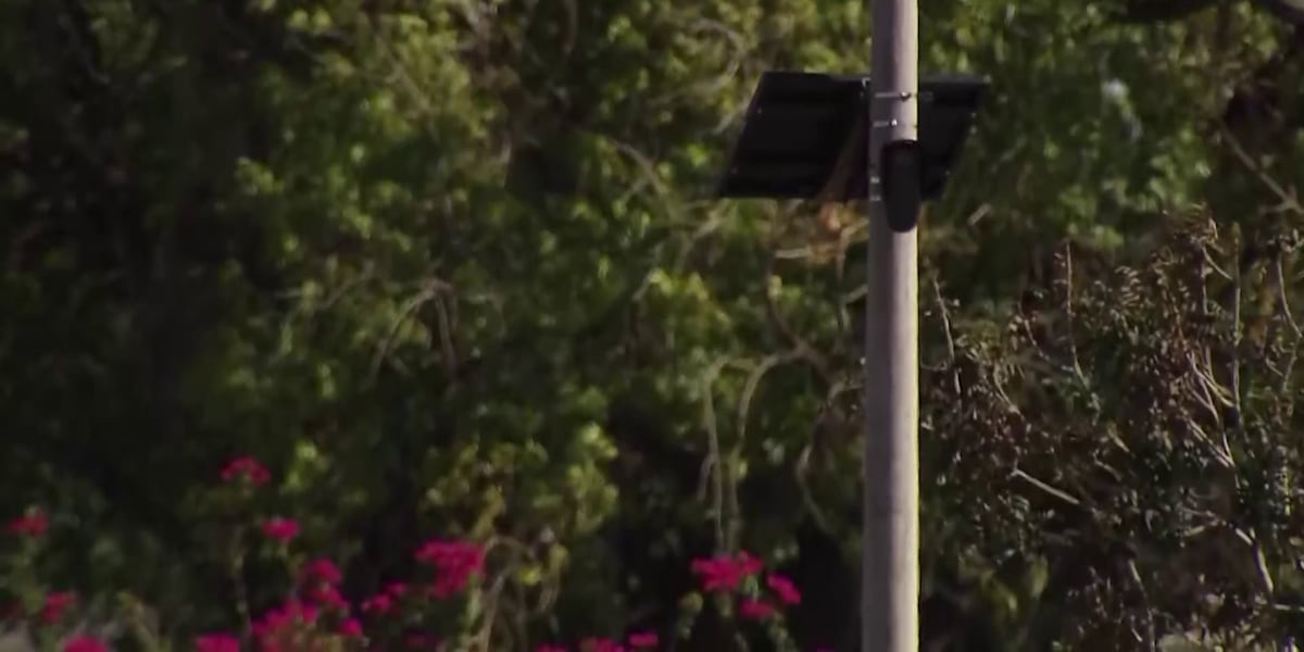 Scottsdale mayor pushes for council review on Flock camera program