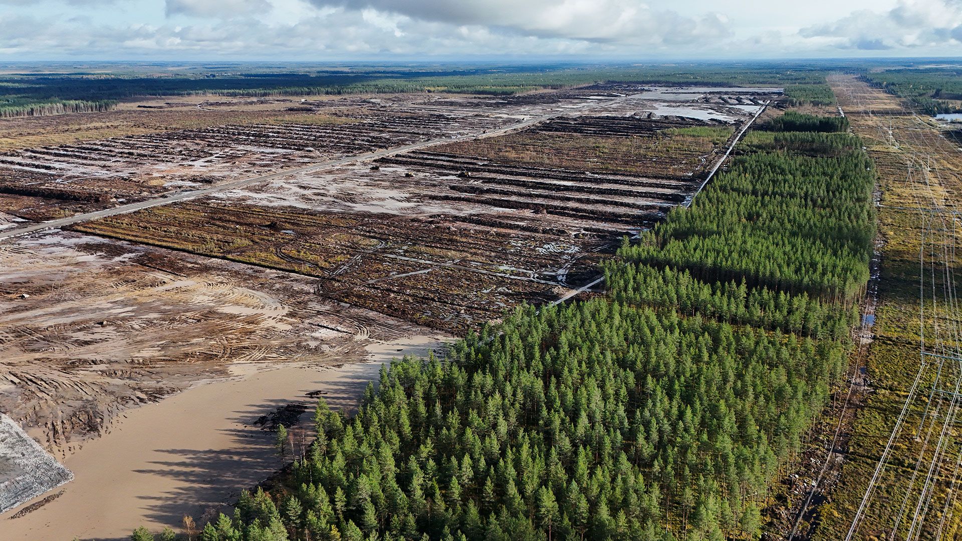 Google hit with criminal probe over unapproved AI data center deforestation — 816 acres of forest destroyed in Finland as wolves flee into local villages, facility threatens 40% power bill hikes