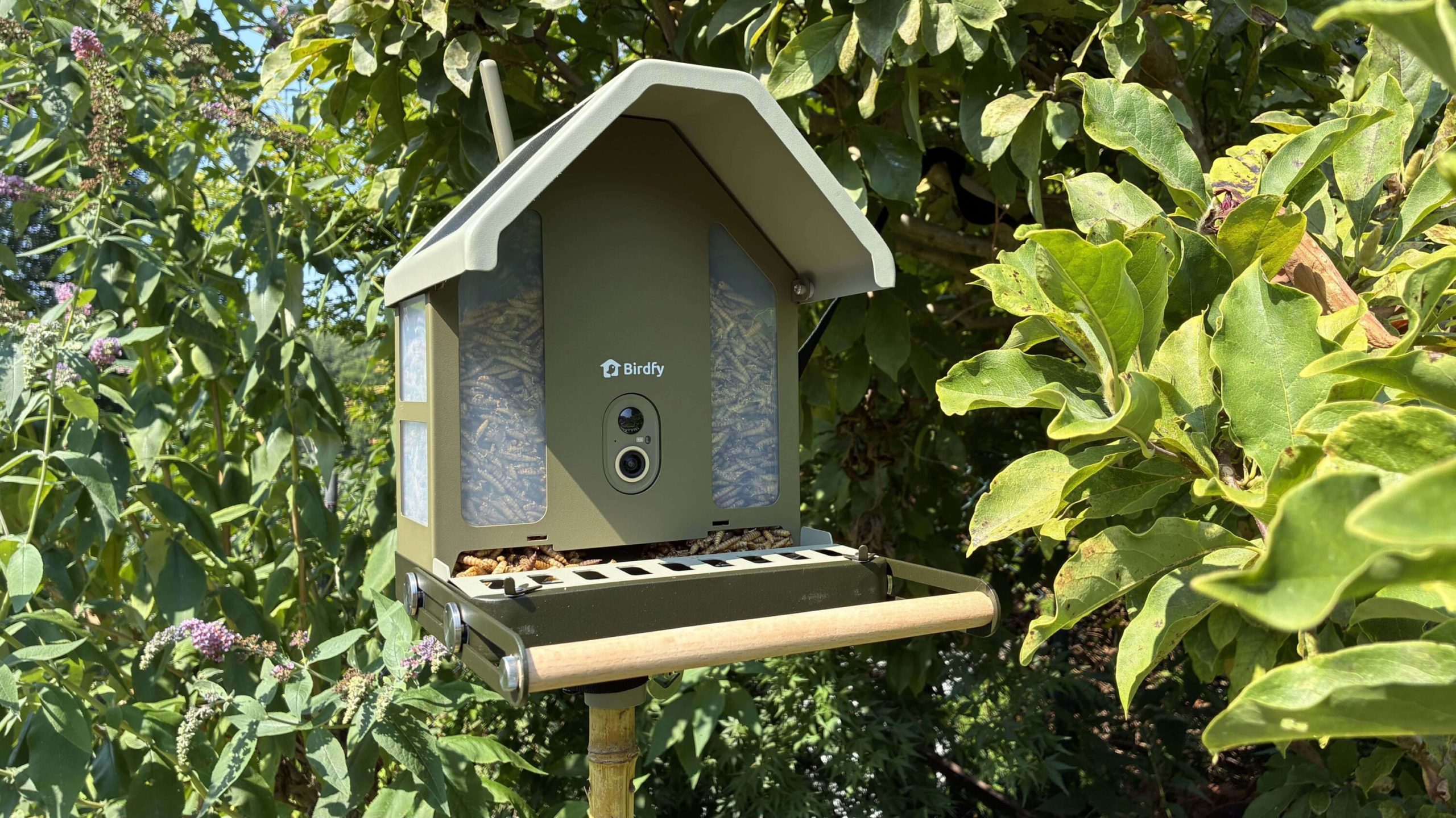 Birdfy Feeder Metal 2 Review: Smart Bird Feeder with a 4K Camera and Solar Roof