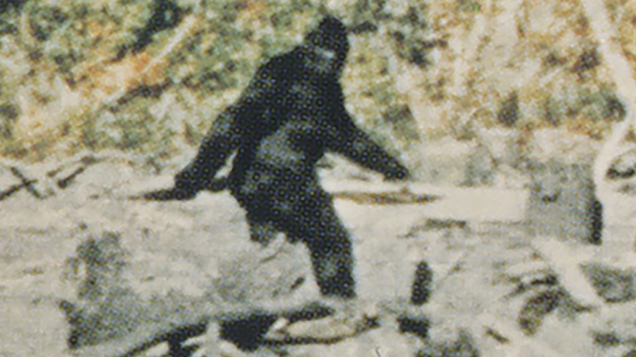 The Truth About Bigfoot Is Revealed in the Fascinating Documentary Capturing Bigfoot, New to Prime Video