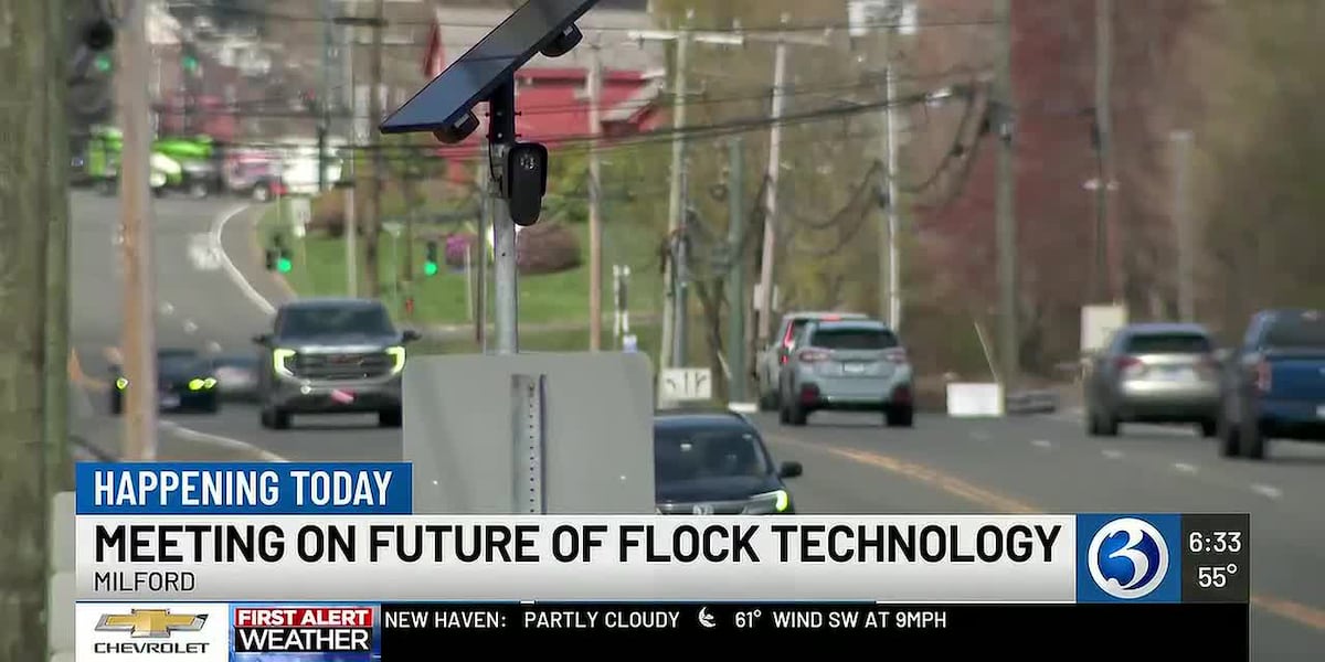 Future of Flock cameras up for debate by Milford’s review committee