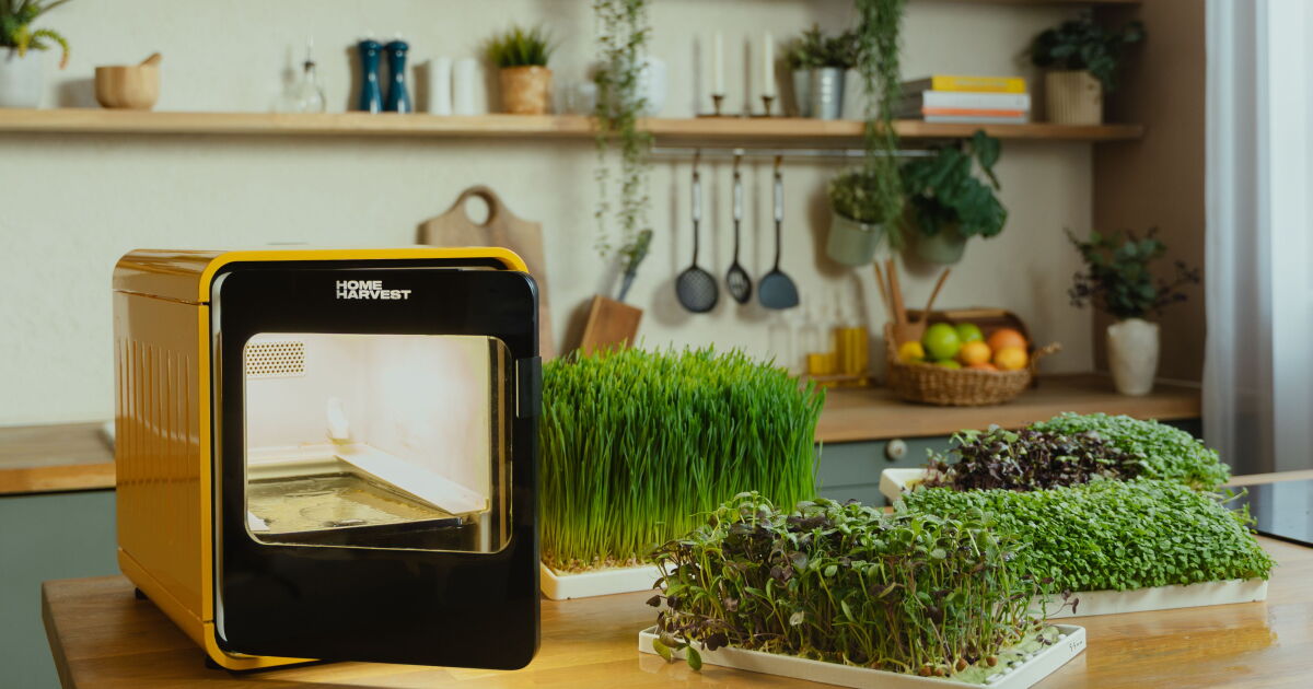 Countertop smart farm promises fresh greens in as little as 8 days